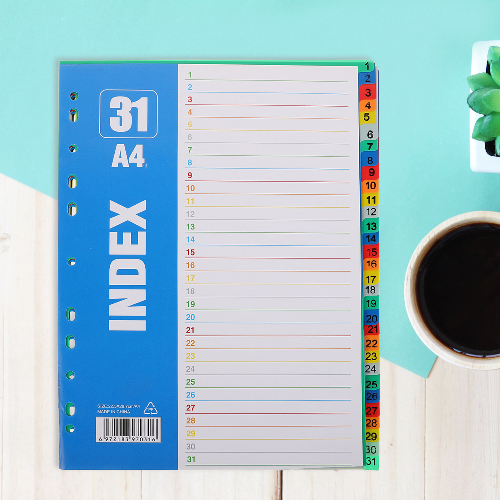 1Set A4 11-Hole Plastic Index  - Tab Divider A4 review and price
