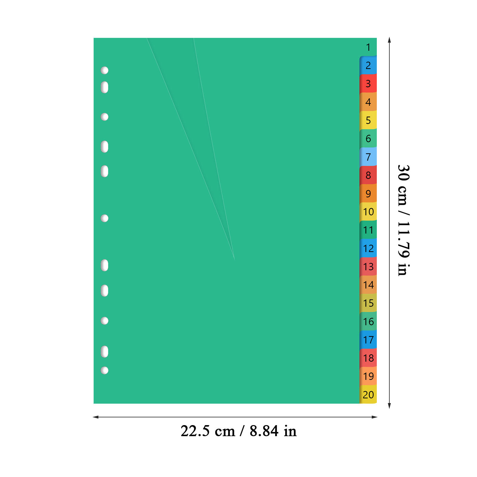 20 Pages A4 Size Color Coded P - Tab Divider A4 review and price