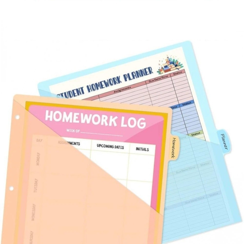 8 pcs Durable A4 Pastel Binder - Tab Divider A4 review and price