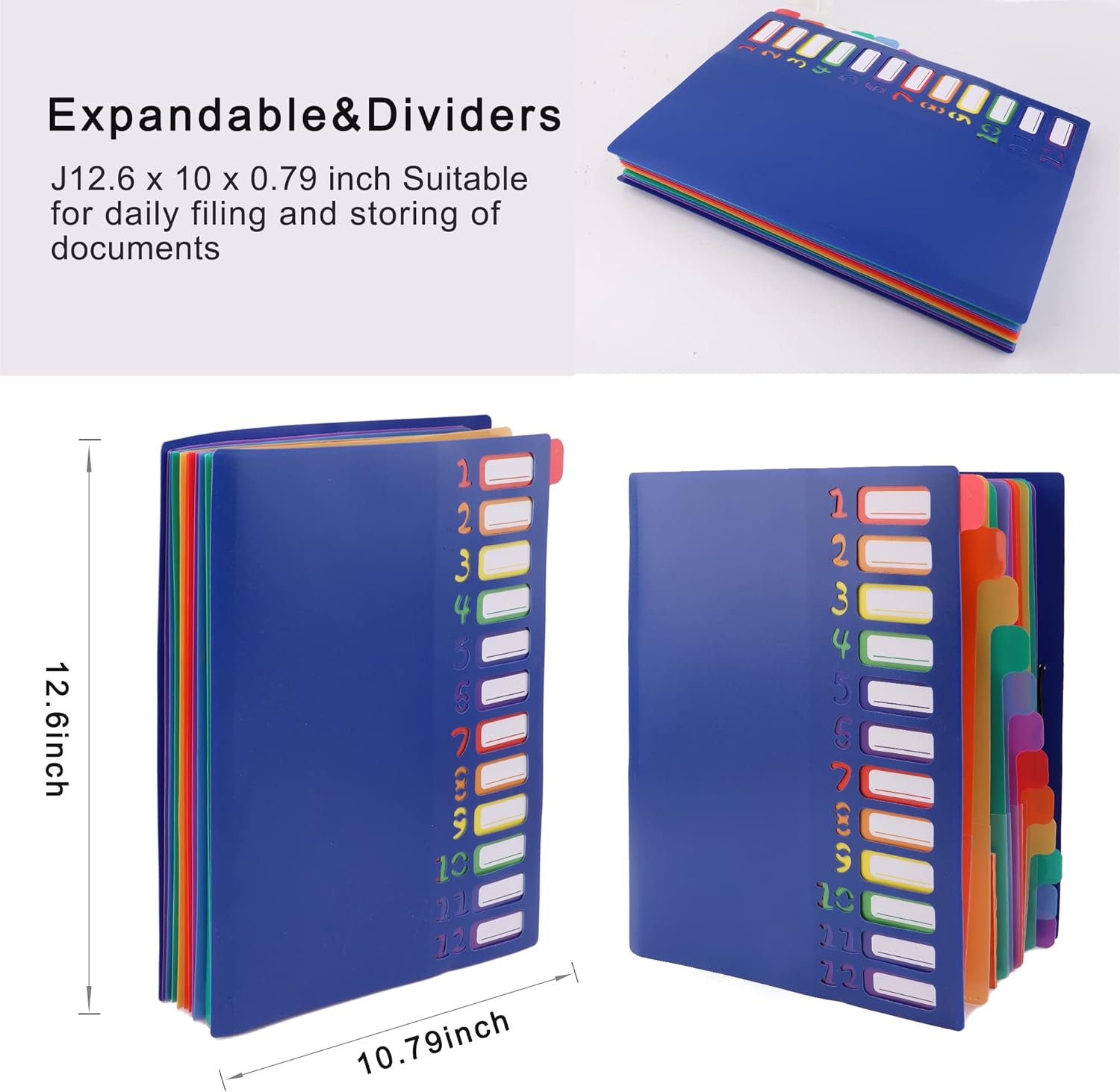 A4 Size Rainbow Tab Expanding  - Tab Divider A4 review and price
